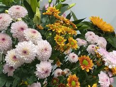 -淘花源花艺鲜花店 开业花篮 绿植(南部商务区店)