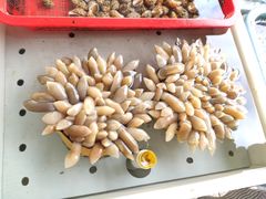 -南沙十九涌渔人码头-南门