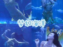 -华夏文旅西安度假区