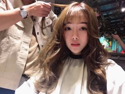 点击看大图 -金棕榈