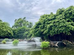 -湖光岩风景区