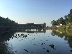 -铁山坪森林公园