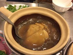 -大中鱼翅 Taitong Shark Fin