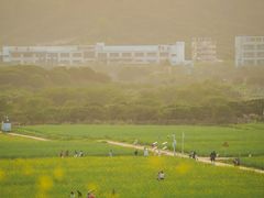 -光明小镇欢乐田园