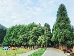 -武陵山森林公园