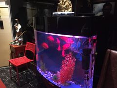 -湖庭壹品鸭王·传统北京烤鸭·别墅私房菜·庭院宵夜(江宁店)