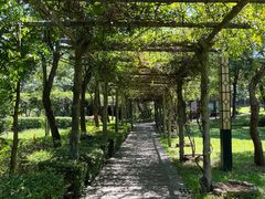-大屏嶂森林公园