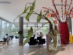 -木嘛working coffee&bar(碧道馆店)