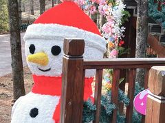 -洛阳白云山景区