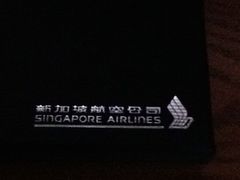 -新加坡航空公司(ION)