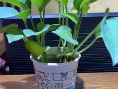 -学习谷日语培训日本留学·多语种外语教学(海淀人大分部)