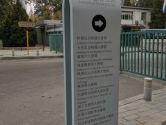 -三里屯东五街银杏大道