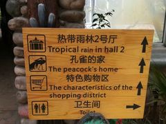 -呀路古热带植物园