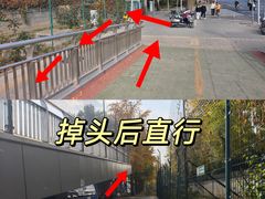 -三里屯东五街银杏大道