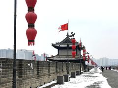 -楼兰古丽·新疆菜(大唐西市店)