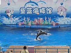 -北戴河圣蓝海洋公园