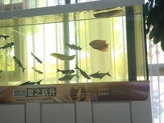 -聊城口腔医院
