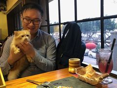 -more than meow吴止猫主题餐厅(承德 中船汇店)