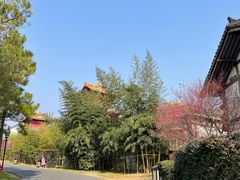 -茅山东方盐湖城景区