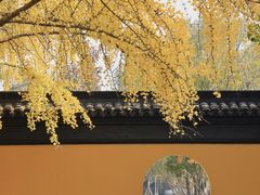 -西园戒幢律寺