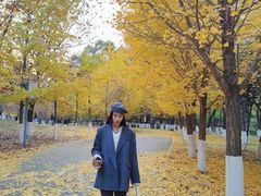 -长白岛森林公园