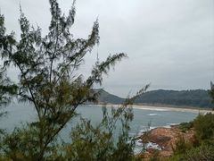 -广东惠东海龟国家级自然保护区