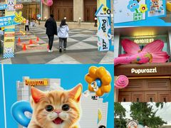 -帕帕拉兹宠物(亚洲旗舰店)