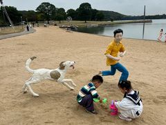 -上海月湖雕塑公园