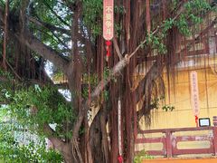 -福州开元寺