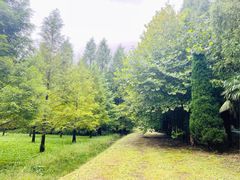 -黄海国家森林公园