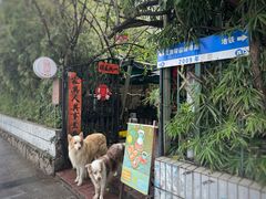 -豆舞咖啡(民乐路店)