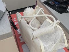 -御宝贝24h宠物医院·转诊中心·CT核磁血透中心(厦门总院)