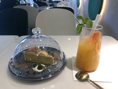 -飞行喵MR PILOT|猫舍·猫咖(静安大融城店)