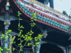 -望江楼公园