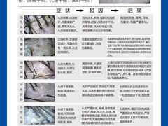 -中国农业大学(西校区)