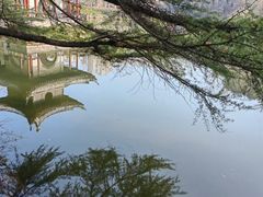 -水绘园