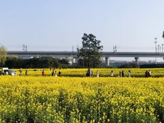 -临平南高铁站(地铁站)