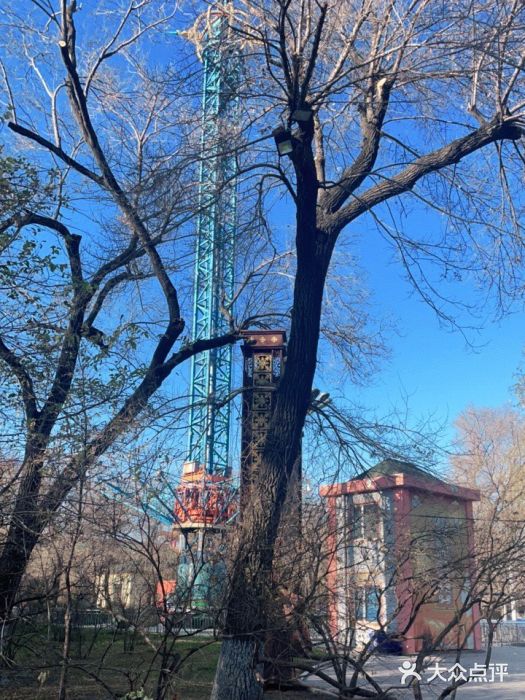 哈尔滨文化公园图片