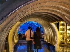 -迪拜帆船酒店海底餐厅