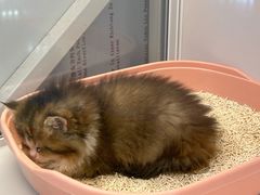 -昆山招商花园城