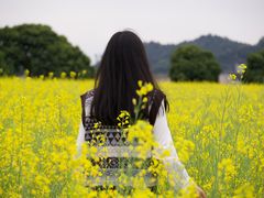 -长洲岛