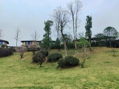 -枫香湖儿童公园