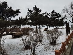 -丁香湖公园