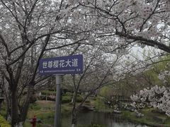 -苏州独墅湖世尊酒店