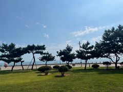 -日照灯塔风景区