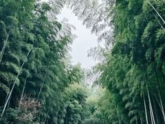 -九龙潭景区