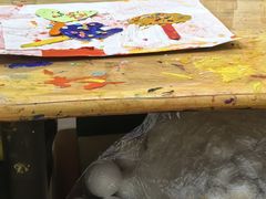 -杨梅红艺术教育(万象城教学中心)