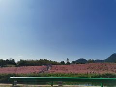 -金孔雀温泉旅游度假村