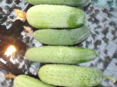 麻辣鱼块-姥家大锅台水库渔家