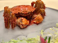 -王宝和酒家(黄浦店)